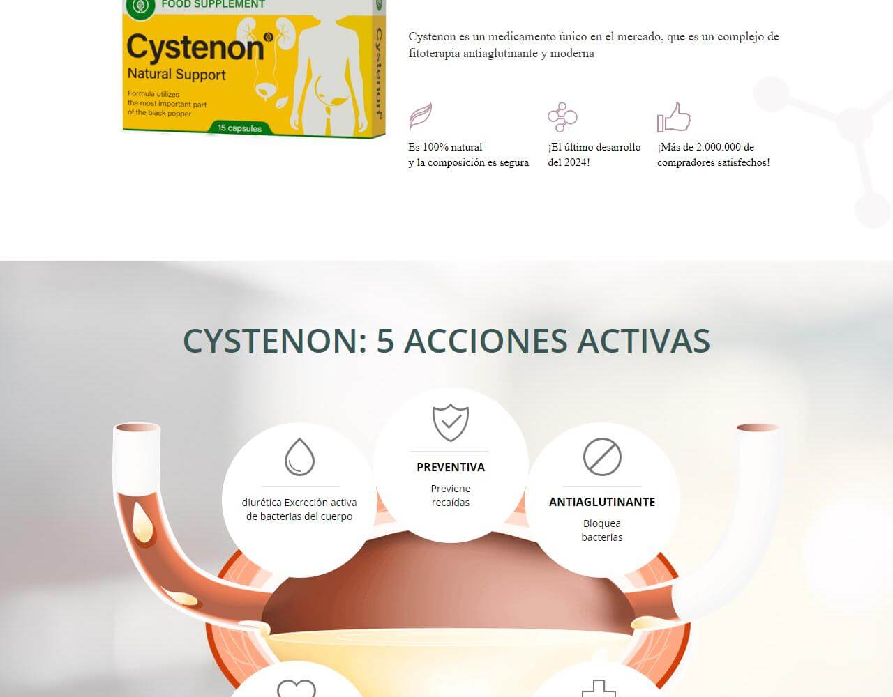 Cystenon 4