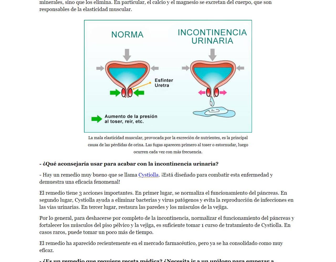 Cystiolla 3