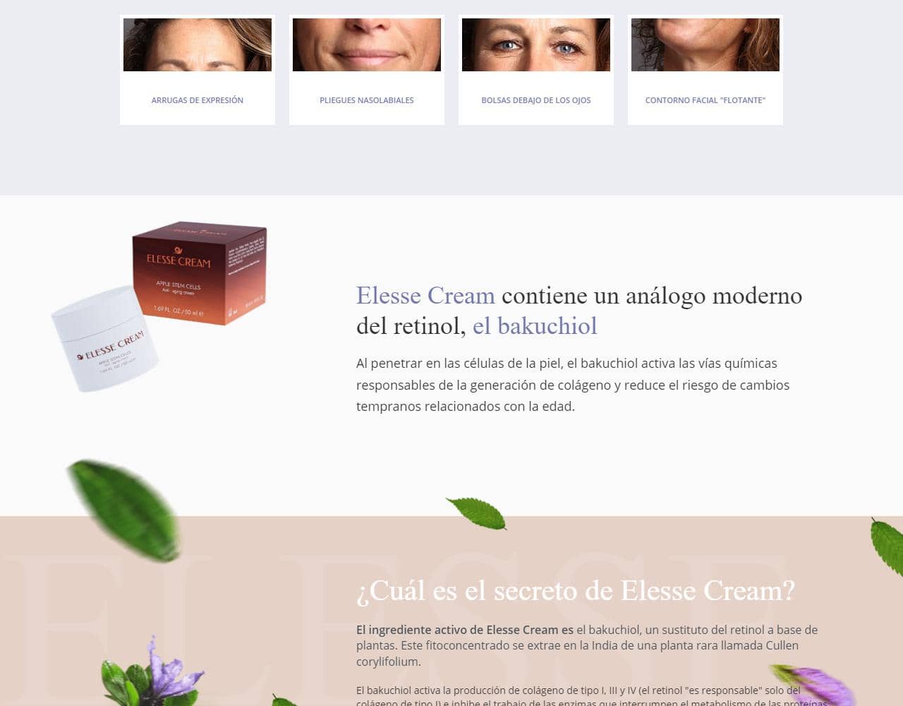 Elesse cream 2