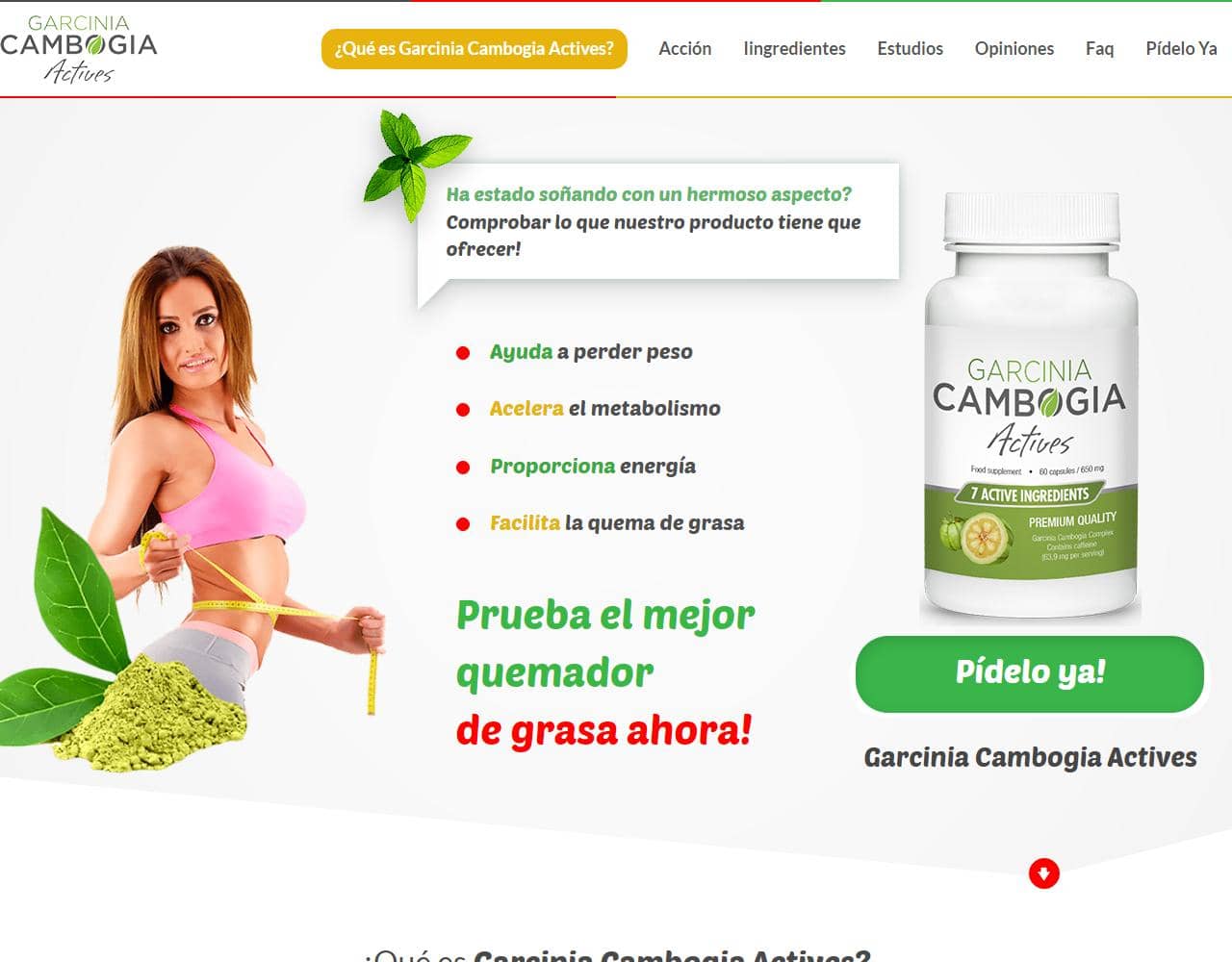 Garcinia Cambogia Actives 1