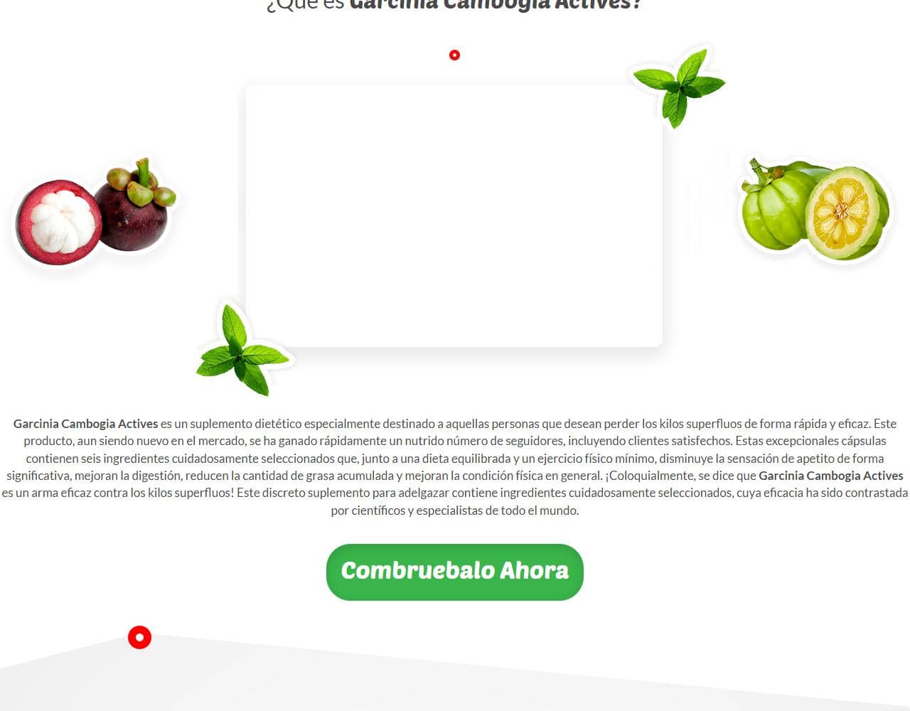 Garcinia Cambogia Actives 2