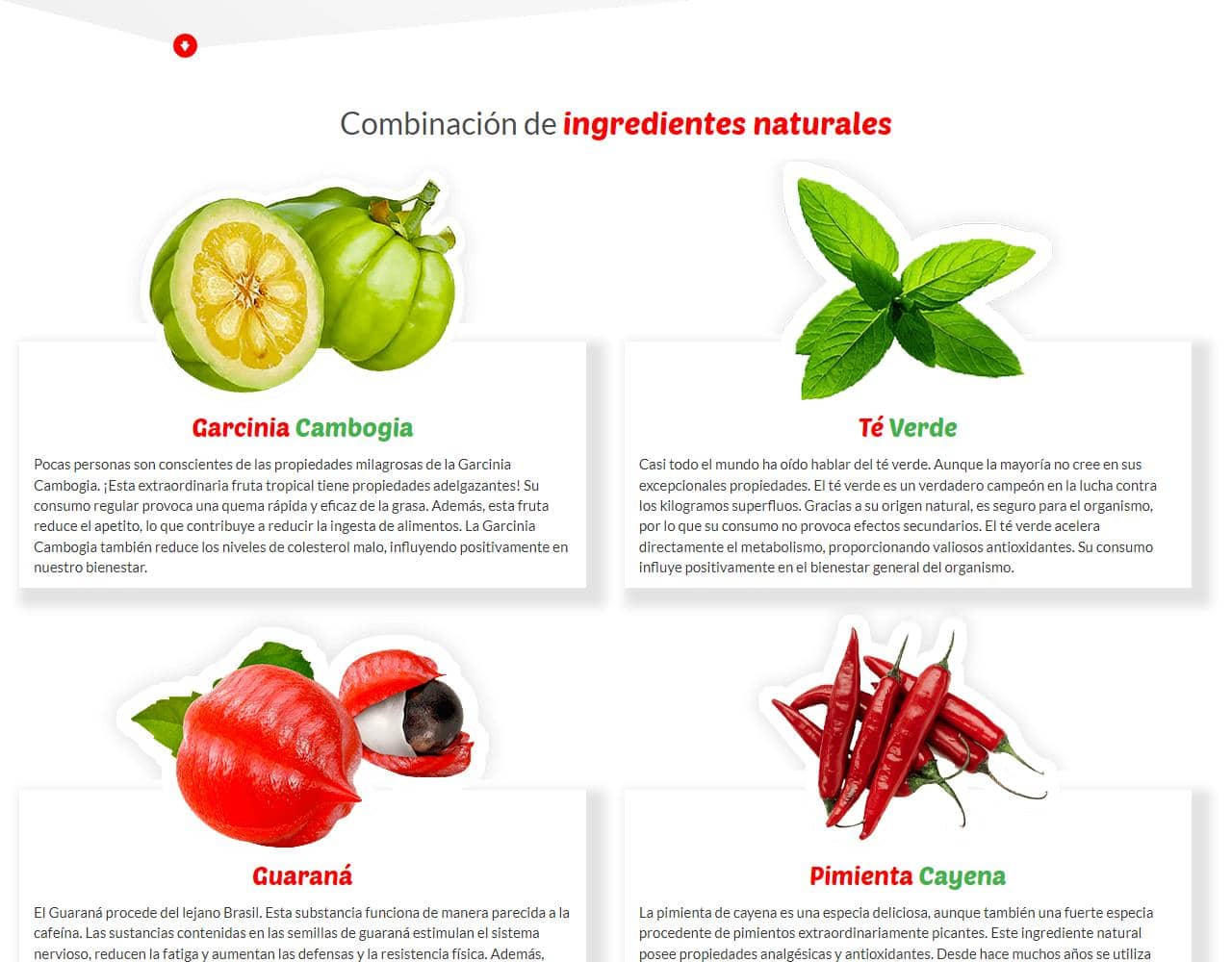 Garcinia Cambogia Actives 4