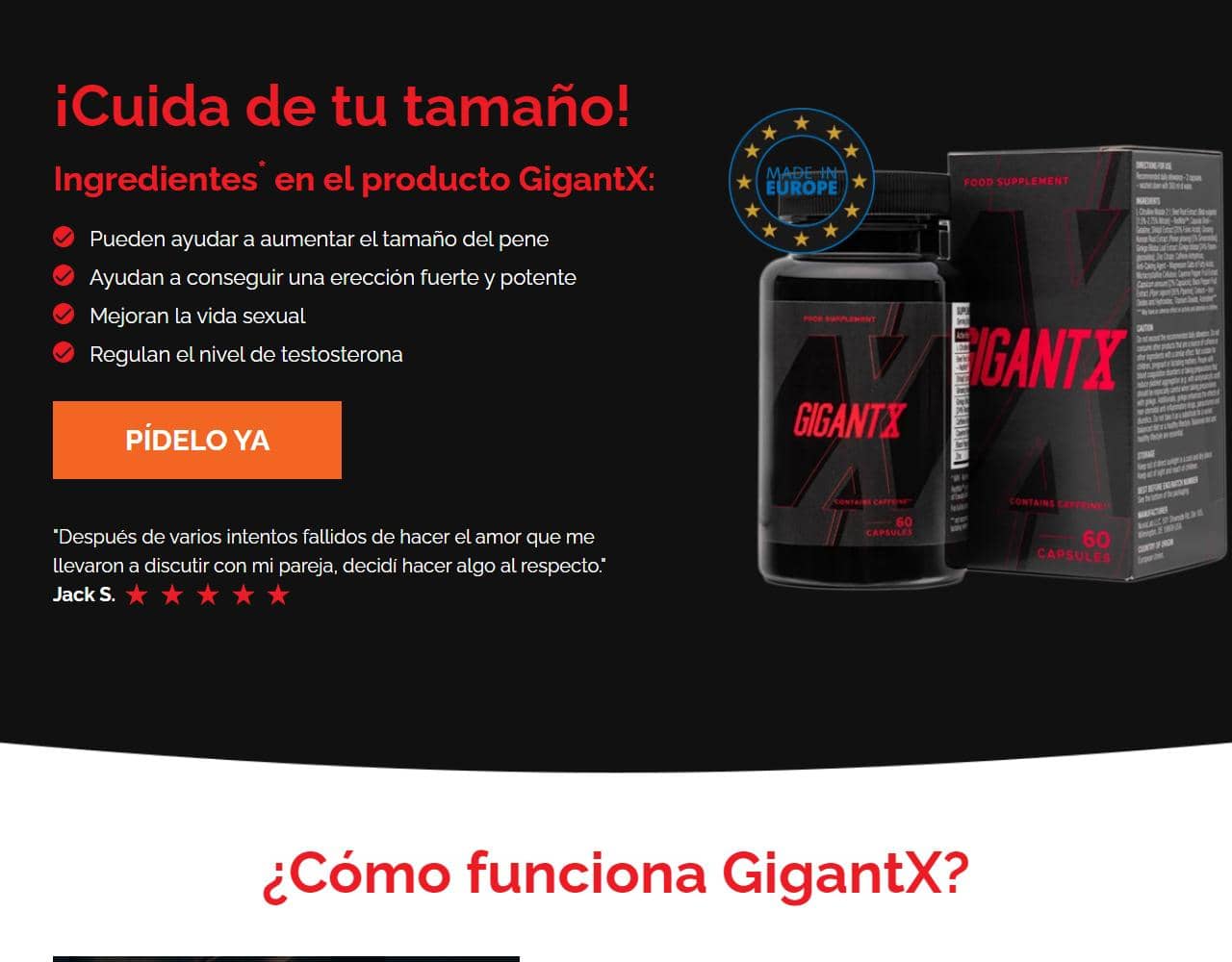 GigantX 1