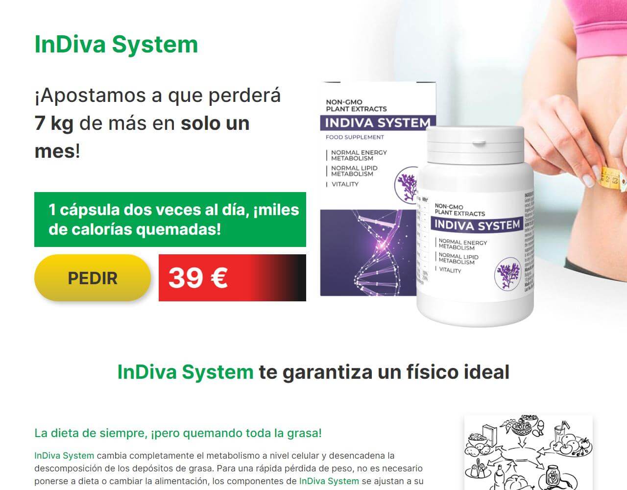 InDiva System 1