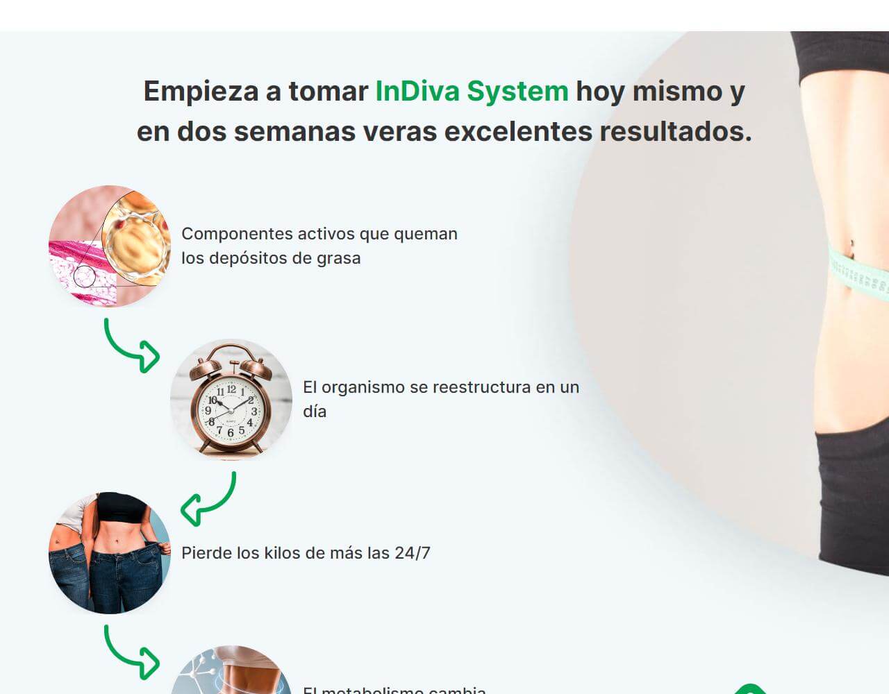 InDiva System 4