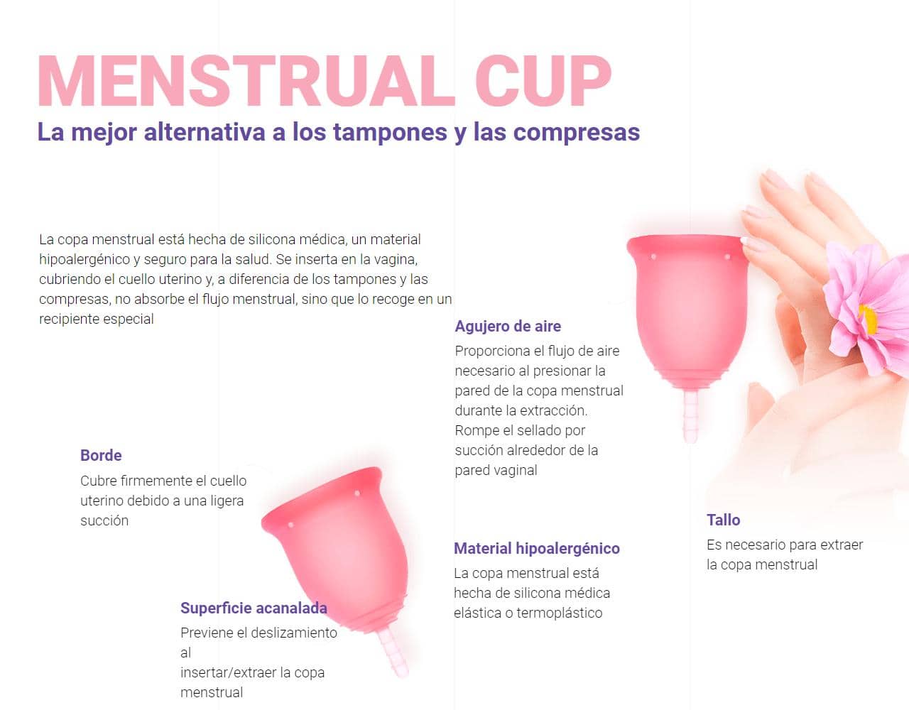 Menstrual Cup 2