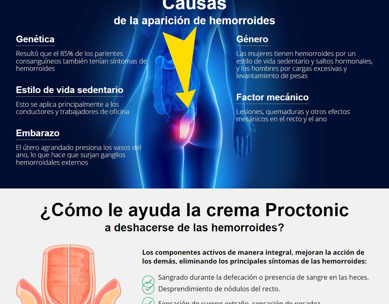 Proctonic 3